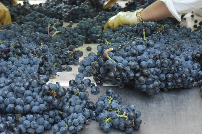 Rioja Wine Tour: 2 Wineries From Bilbao - Practical details before you book