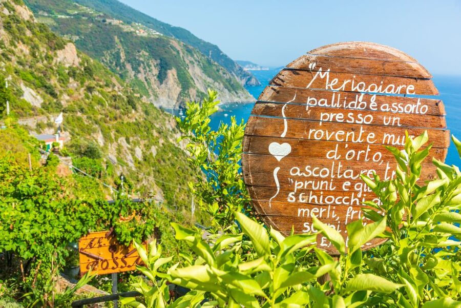 Riomaggiore: Vineyard & Wine Cellar Tour with Wine Tasting - Key points to know before booking