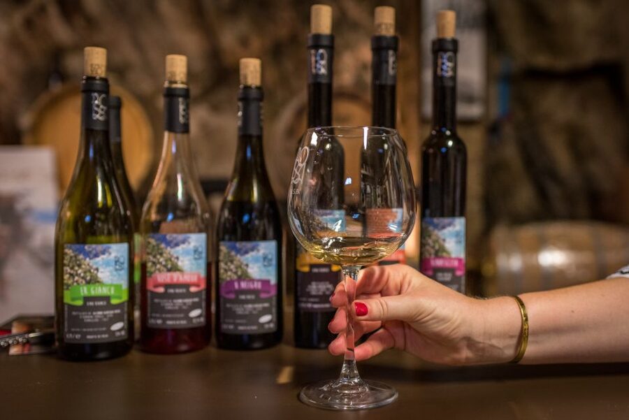 Riomaggiore: Vineyard & Wine Cellar Tour with Wine Tasting - Why this vineyard feels different from a standard wine tour