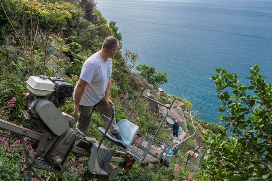 Riomaggiore: Vineyard & Wine Cellar Tour with Wine Tasting - Timing, language, and booking details