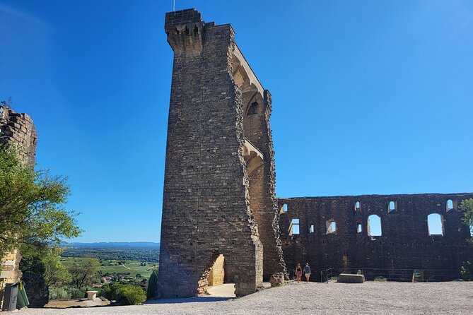 Roman Heritage & Wine Legacy - Meeting Gordana in Avignon at 2:30 pm