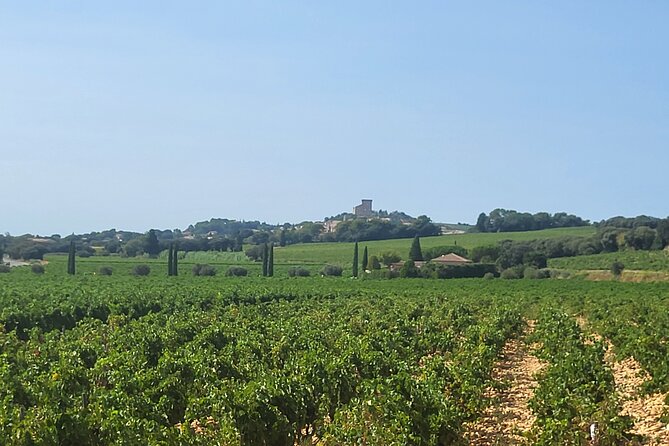 Roman Heritage & Wine Legacy - Pont du Gard: A Powerful Roman Finale