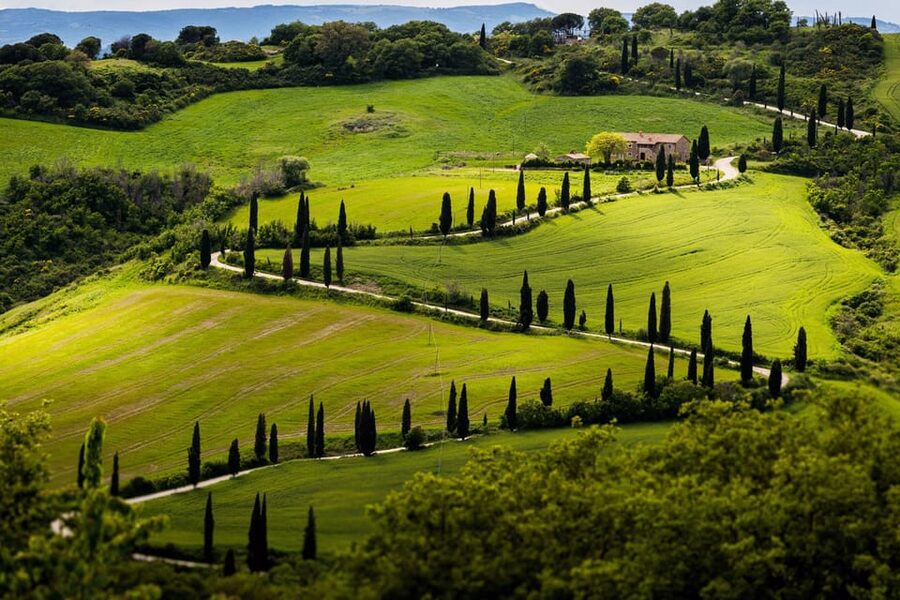 ROMANTIC WINE TOUR FOR 2 - Wine Tour in Chianti (Tuscany) - San Gimignano: towers, gelato, and free time
