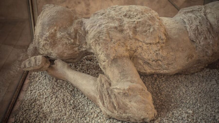 Rome: Pompeii Tour with Wine and Lunch by High Speed Train - Key details that shape the day