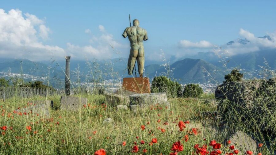 Rome: Pompeii Tour with Wine and Lunch by High Speed Train - Why the high-speed train is worth considering