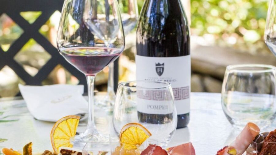 Rome: Pompeii Tour with Wine and Lunch by High Speed Train - Walking Pompeii in a focused 2.5 hours