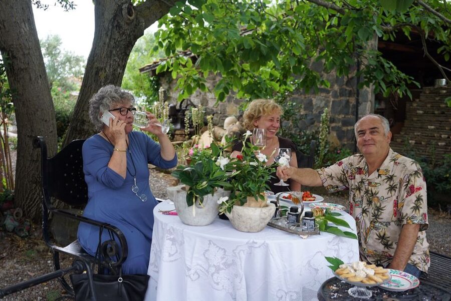 Rome: Private Castelli Romani Wine Tasting Tour - What happens during the vineyard and cellar visit