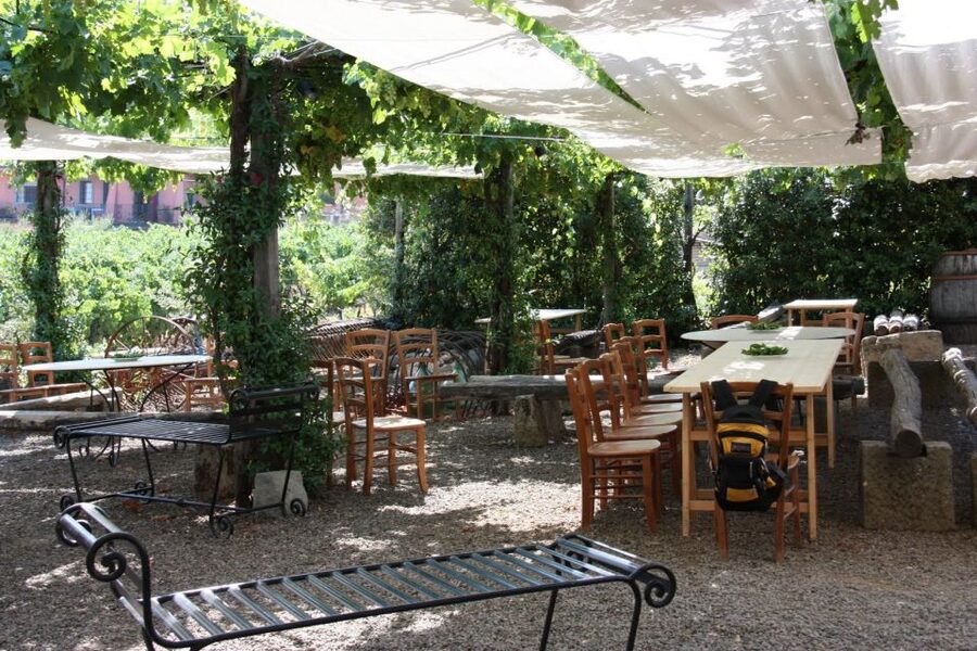 Rome: Private Castelli Romani Wine Tasting Tour - Why the food pairings improve the visit