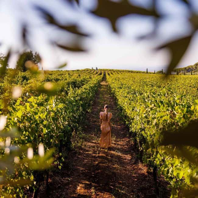 Rome: Private Castelli Romani Wine Tasting Tour - The drive from Rome and the value of private transport