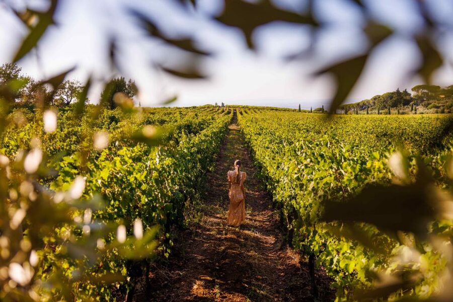 Rome: Private Countryside Wine Tasting Tour - A private group changes the feel