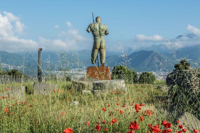 Rome to Pompeii Guided Tour with Wine & Lunch by High Speed Train - How much value do you get for $239?