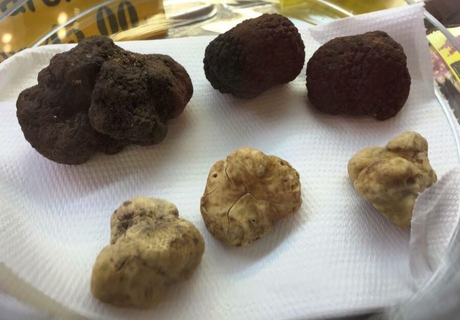 Rome: Trastevere Guided Food and Wine Tour with 20+ Tastings - Why Trastevere works so well for a food walk
