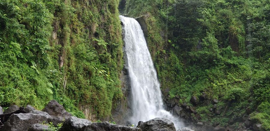 Roseau: Titou Gorge, Hot Spring, Falls & Champagne Reef Tour - The quick facts that matter most