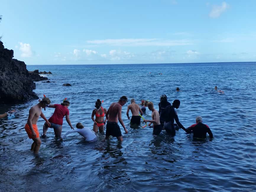 Roseau: Titou Gorge, Hot Spring, Falls & Champagne Reef Tour - Trafalgar Falls: a short walk to Dominica’s famous twins