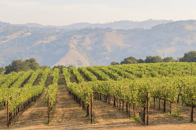 Russian River Weekend Wine Tasting & Gourmet Lunch - Who should book it?