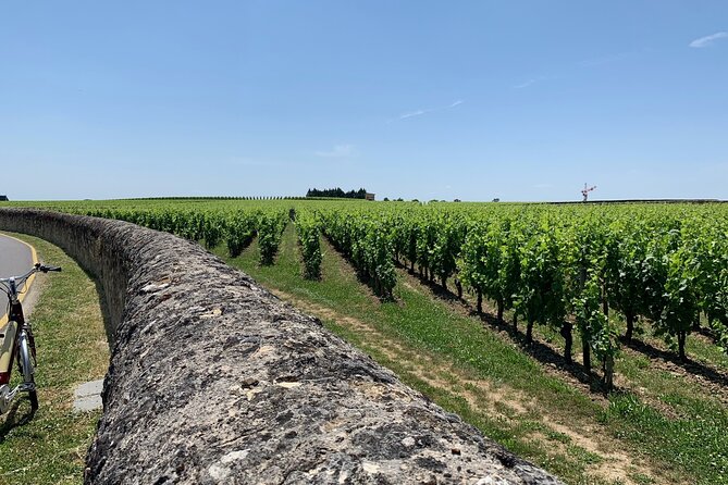 Saint-Emilion Afternoon Wine Tour - 2 Wineries & delicacies - Meeting in central Bordeaux at 1:30 pm