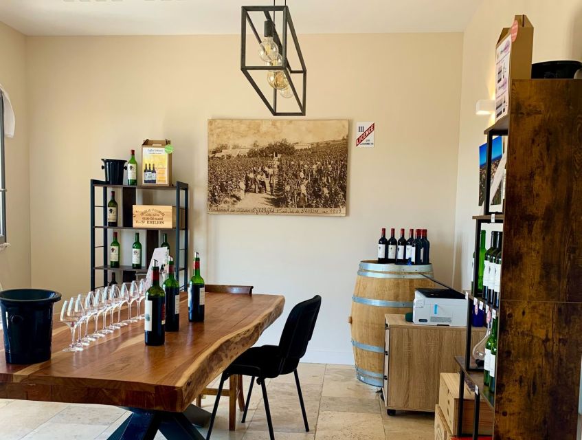 Saint-Émilion: Bordeaux Vineyard Tour and Wine Tasting - Key points to know before you book