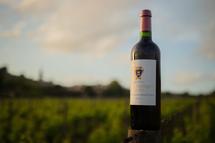 Saint-Émilion: Bordeaux Vineyard Tour and Wine Tasting - Group size, language, and the guide