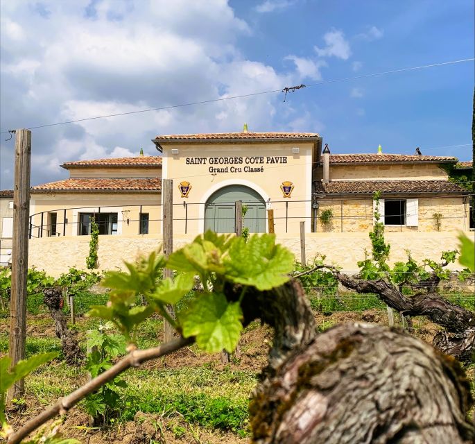 Saint-Émilion: Bordeaux Vineyard Tour and Wine Tasting - Is $21 good value?