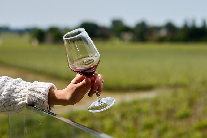 Saint-Émilion day tour: village visit, Châteaux and lunch - What you actually learn at the wineries