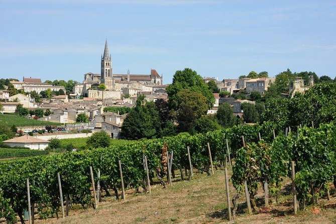 Saint-Émilion day tour: village visit, Châteaux and lunch - The vehicle, group size, and pace