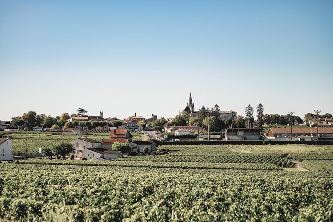 Saint-Emilion Electric Bike Day Tour with Wine Tastings & Lunch - The guides can shape the whole day