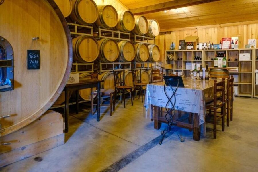 Saint-Émilion: Family Vineyard Visit with Wine Tasting - Tasting four wines, including two Grand Cru selections