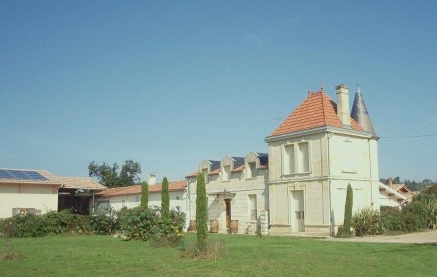 Saint-Émilion: Family Vineyard Visit with Wine Tasting - Starting in the vineyard