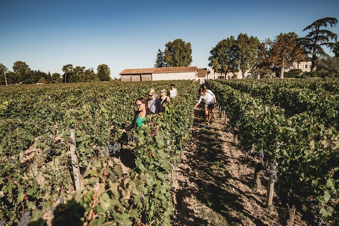 Saint-Emilion Food and Wine Day Tour - Château Ambe Tour Pourret and the vineyard picnic
