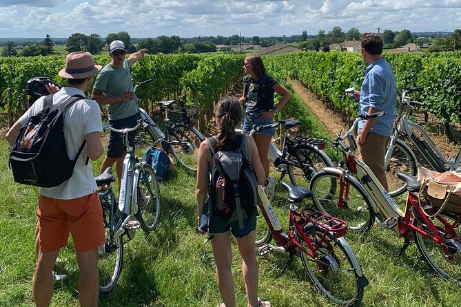 Saint Emilion Full Day Wine and Bike Tour - Seeing Saint-Émilion on foot