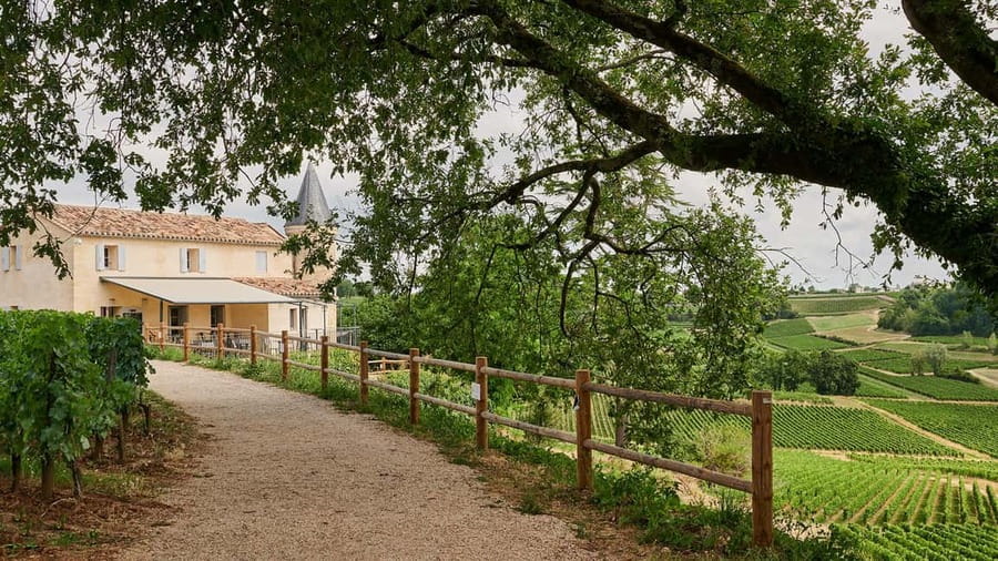 Saint-Emilion: Grand Cru Classé Guided Winery Visit & Picnic - Key points at a glance