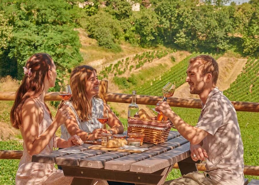 Saint-Emilion: Grand Cru Classé Guided Winery Visit & Picnic - Château Tour Baladoz and the traditional side of Bordeaux