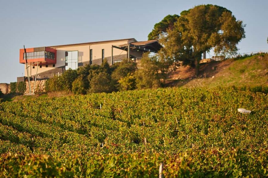 Saint-Emilion: Grand Cru Classé Guided Winery Visit & Picnic - Meeting the guide at La Croizille