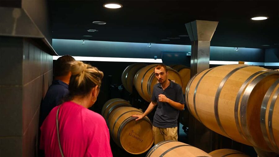 Saint-Émilion: Grand Cru Classé Winery Visit and Tasting - Guides and group size make a difference