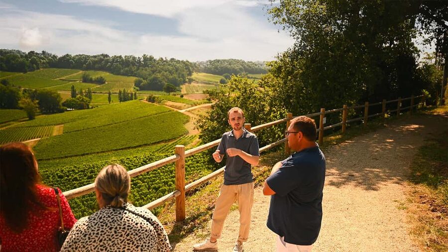 Saint-Émilion: Grand Cru Classé Winery Visit and Tasting - Why the old-and-new format works so well