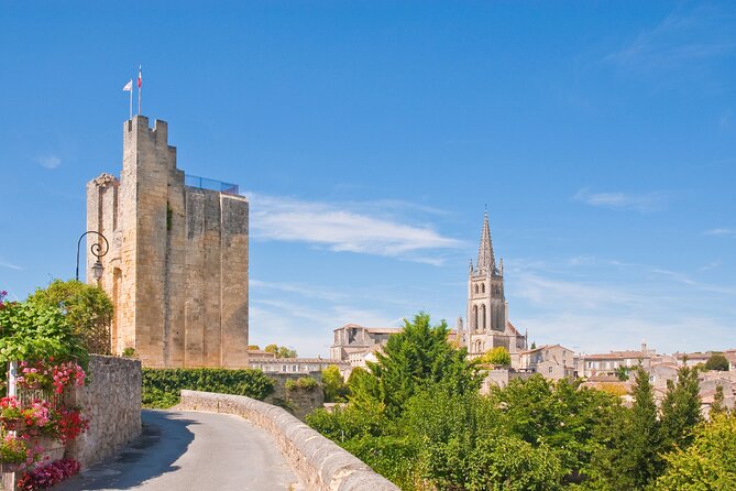 Saint Emilion Half-Day Trip with Wine Tasting & Winery Visit from Bordeaux - Who should book this half-day outing