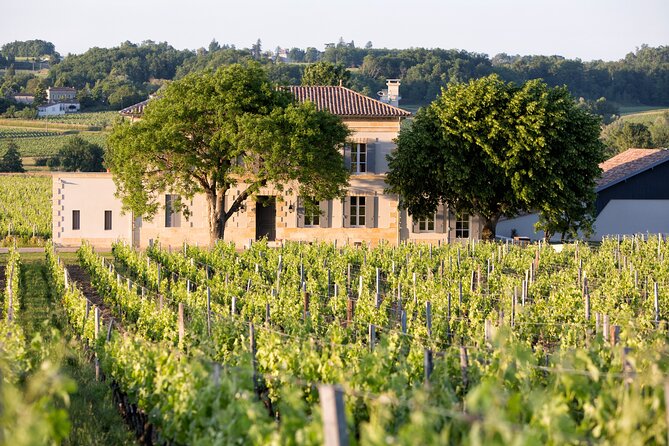 Saint Emilion Half-Day Trip with Wine Tasting & Winery Visit from Bordeaux - My verdict: a smart introduction, not a full Saint-Émilion day