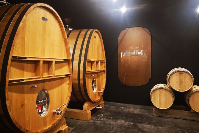 Saint-Emilion Private Full Day Wine Tour from Bordeaux - Key points at a glance