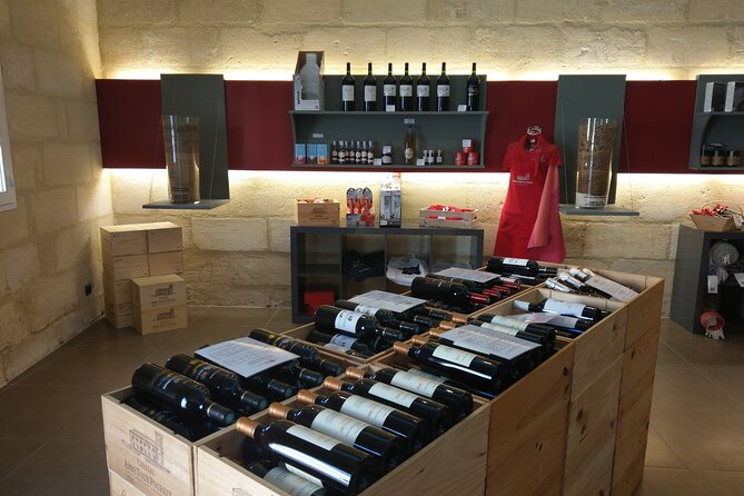 Saint-Emilion Private Full Day Wine Tour from Bordeaux - Why a private day from Bordeaux works well