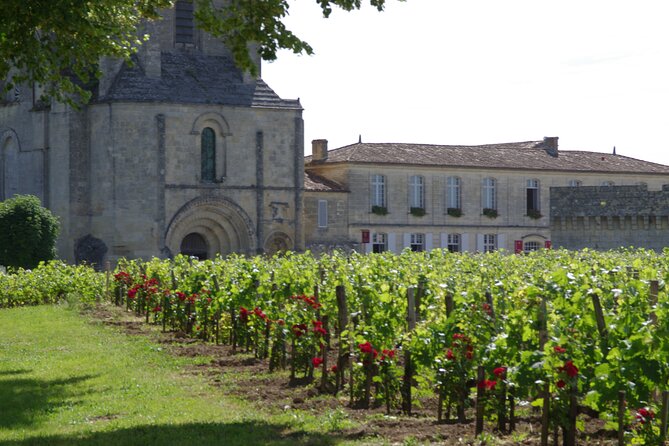 Saint-Emilion Private Full Day Wine Tour from Bordeaux - Who will enjoy this tour most