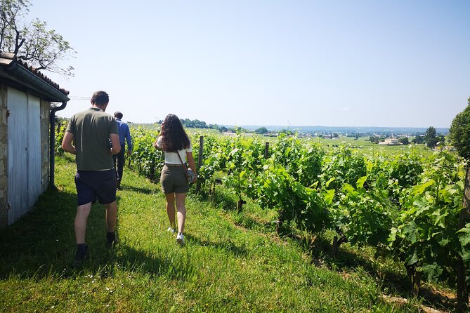 Saint-Emilion Private Full Day Wine Tour from Bordeaux - Practical planning before you book