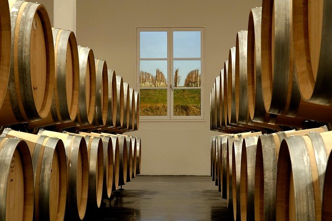 Saint-Emilion Private Half Day Wine Tour from Bordeaux - What happens at the winery