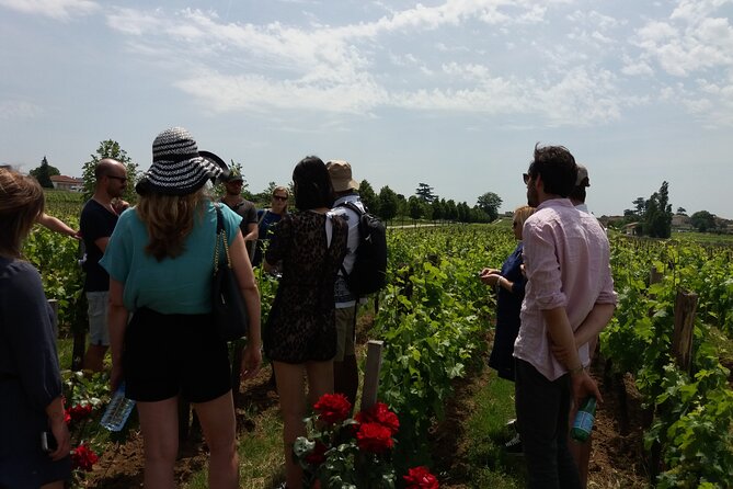Saint Emilion Wine Tour Tasting Half Day from Bordeaux - Key points at a glance