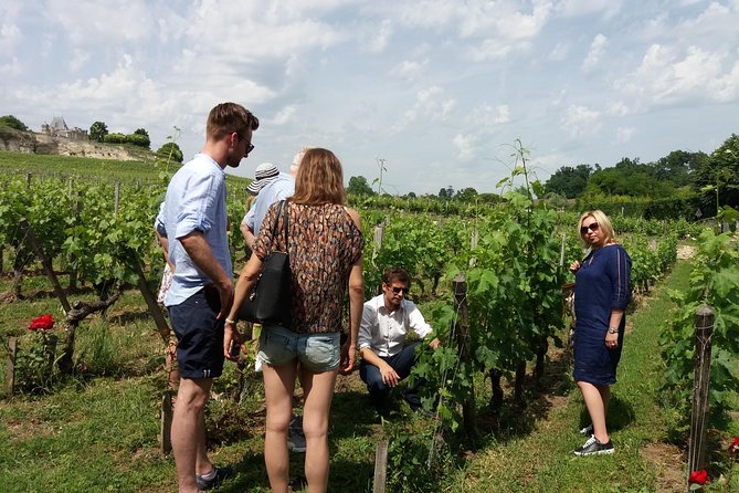 Saint Emilion Wine Tour Tasting Half Day from Bordeaux - First winery: a polished classified estate