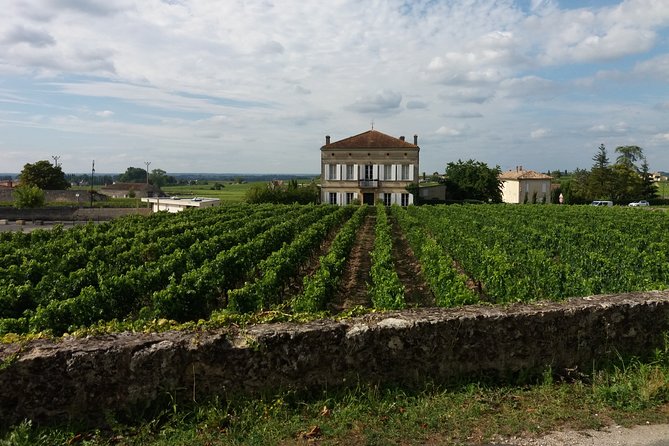 Saint Emilion Wine Tour Tasting Half Day from Bordeaux - Second winery: the family-run side of Saint-Émilion