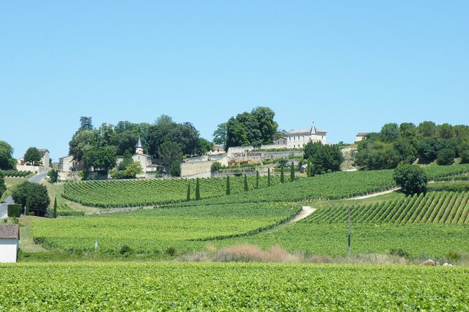 Saint Emilion Wine Tour Tasting Half Day from Bordeaux - Tasting six or more wines without rushing
