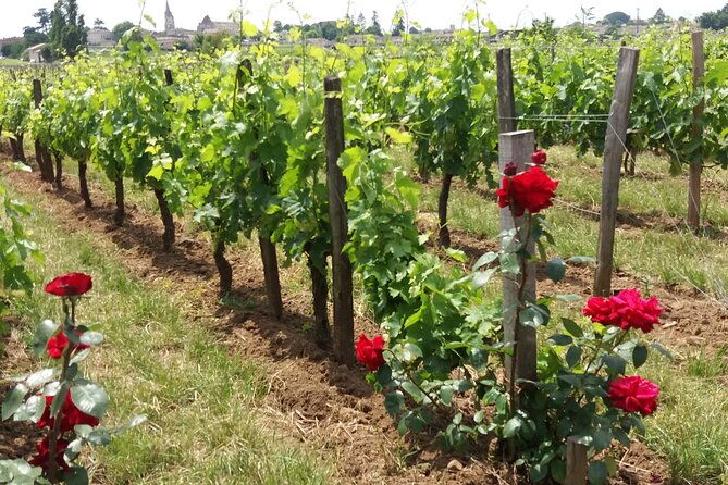 Saint Emilion Wine Tour Tasting Half Day from Bordeaux - Is the $116.14 price good value?