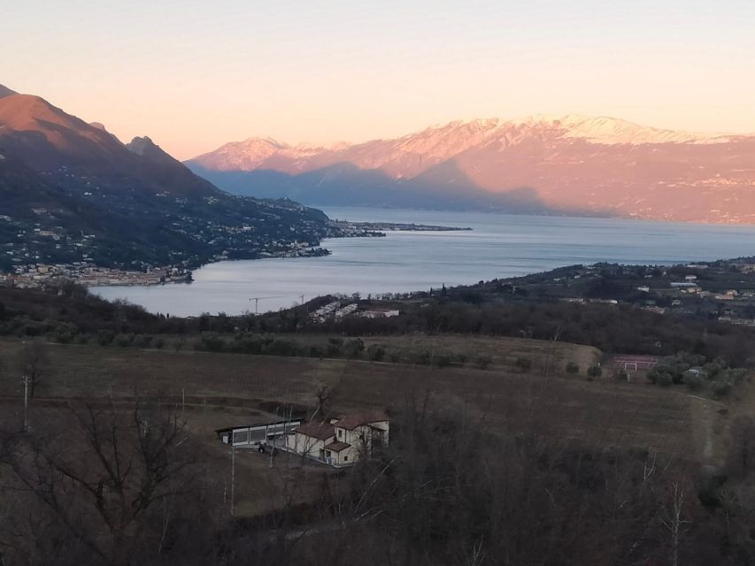 Salò: Tasting of 4 Valtenesi wines with local food - The cellar visit and what you may learn