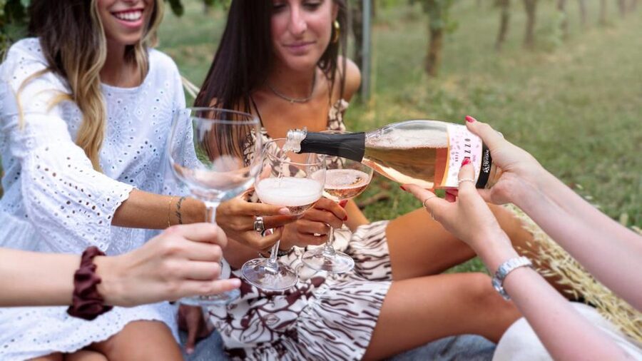 Salò: Tasting of 4 Valtenesi wines with local food - The Gulf of Salò view and the weather plan