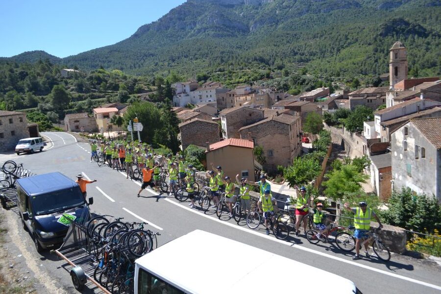 Salou: Easy Bike Tour with Wine Tasting - A closer look at the vineyard and grape growing